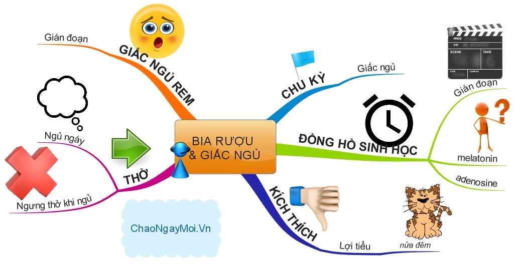 Các giai đoạn của giấc ngủ